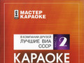В компании друзей Лучшие виа СССР (Часть 2)